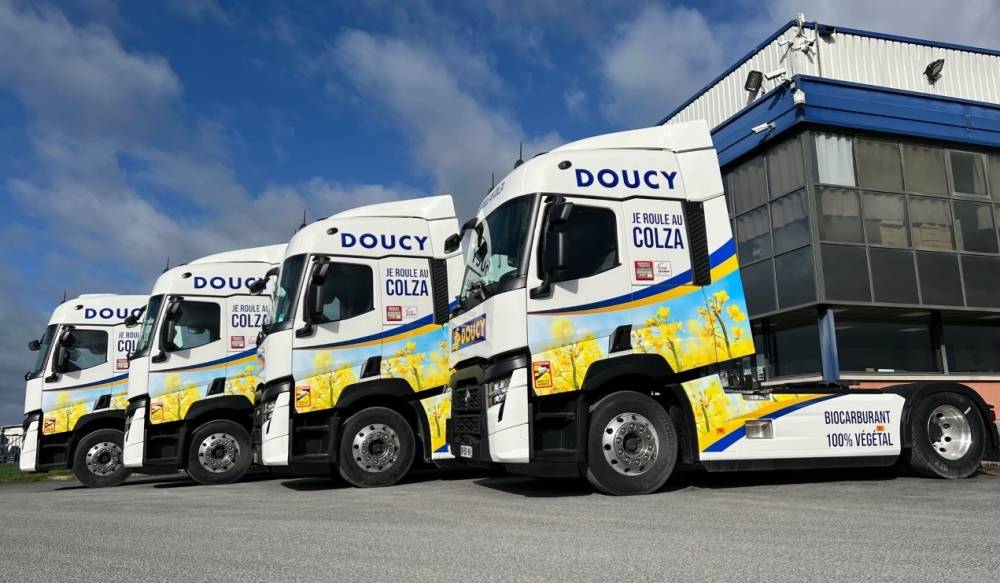 Doucy B100 Colza.jpg